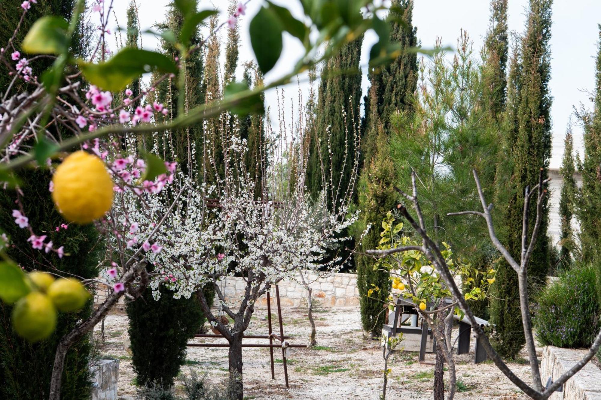 Ayia Marina Villa Kathikas Dış mekan fotoğraf